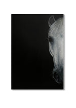 L'autre moitié du rêve