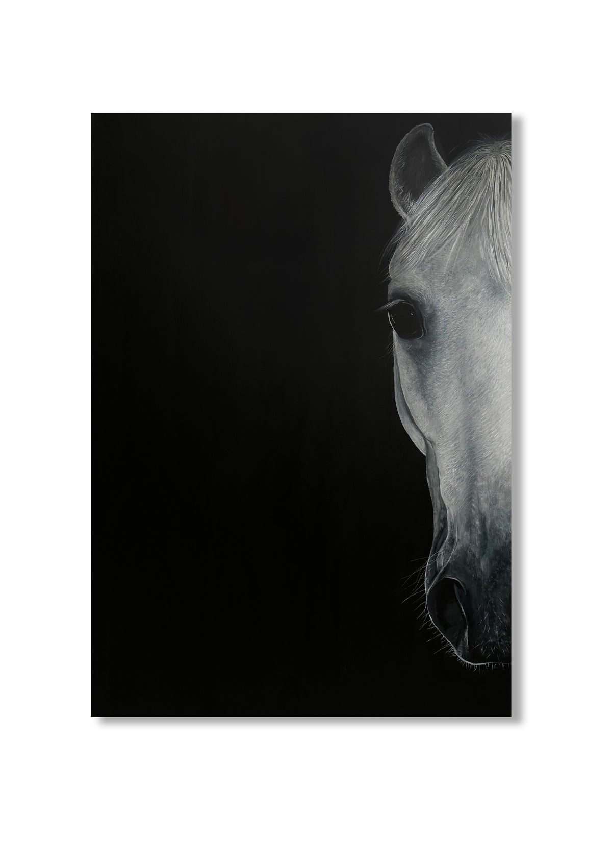 L'autre moitié du rêve